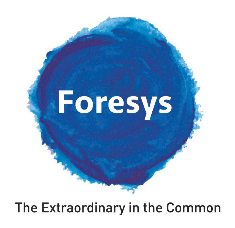 주식회사 포어시스